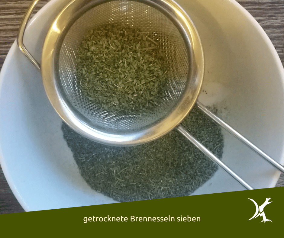 getrocknete Brennessel werden gesiebt