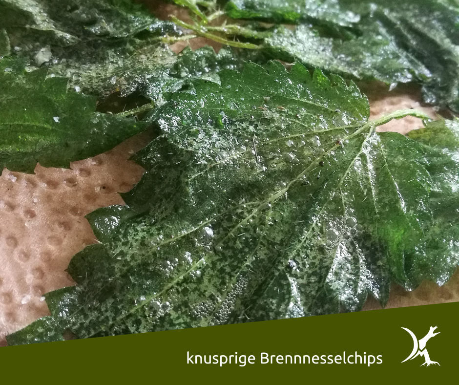 Brennnesselchips